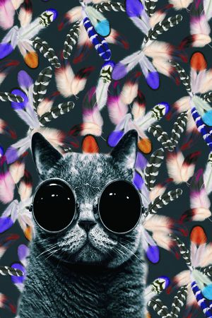猫印花花型图片