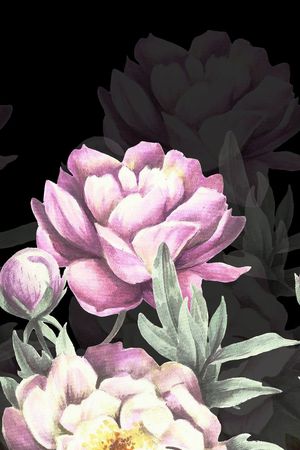 定位印花花型图片