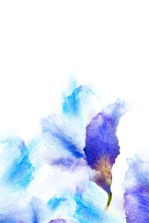 定位印花花型图片