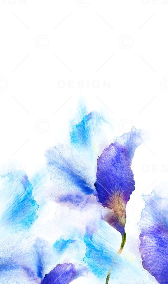 定位印花花型图片