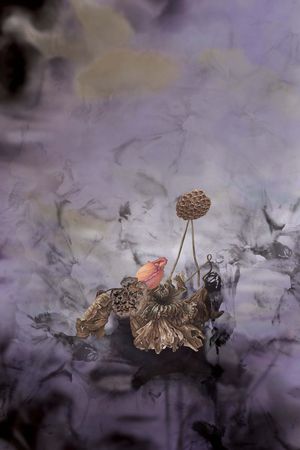 趣味印花花型图片