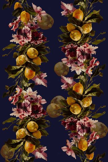 687027-油画花卉柠檬