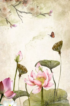 荷花定位印花花型图片