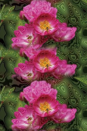 梦幻印花花型图片