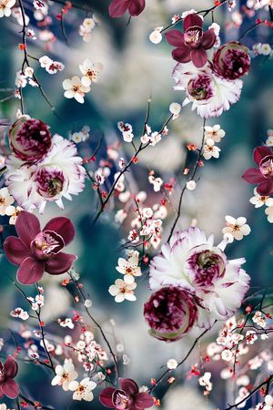 花朵印花花型图片