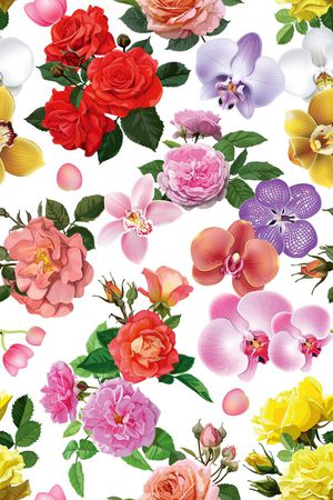 牡丹印花花型图片