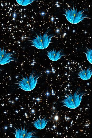 星空印花花型图片