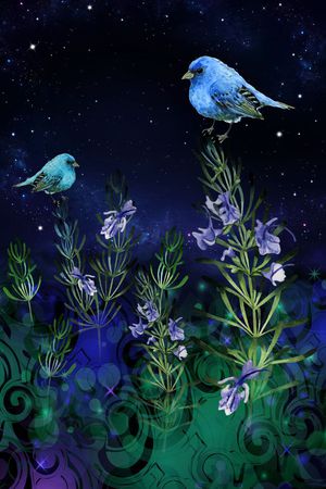 花卉印花花型图片
