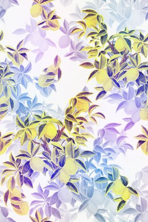 树枝印花花型图片