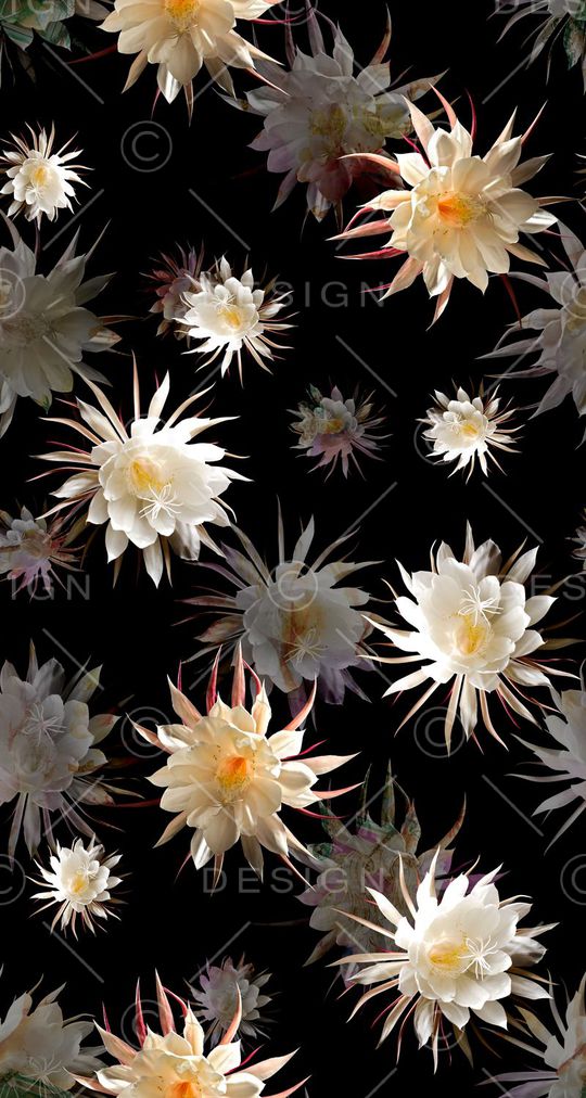 花朵印花花型图片