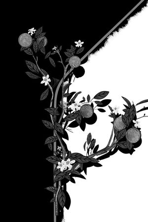 DIOR风格花鸟工笔画定位花印花花型图片