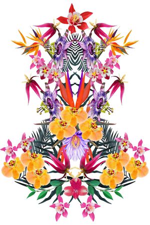 兰花印花花型图片