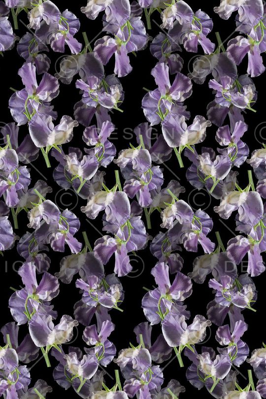 青蓝雅韵系列印花花型图片
