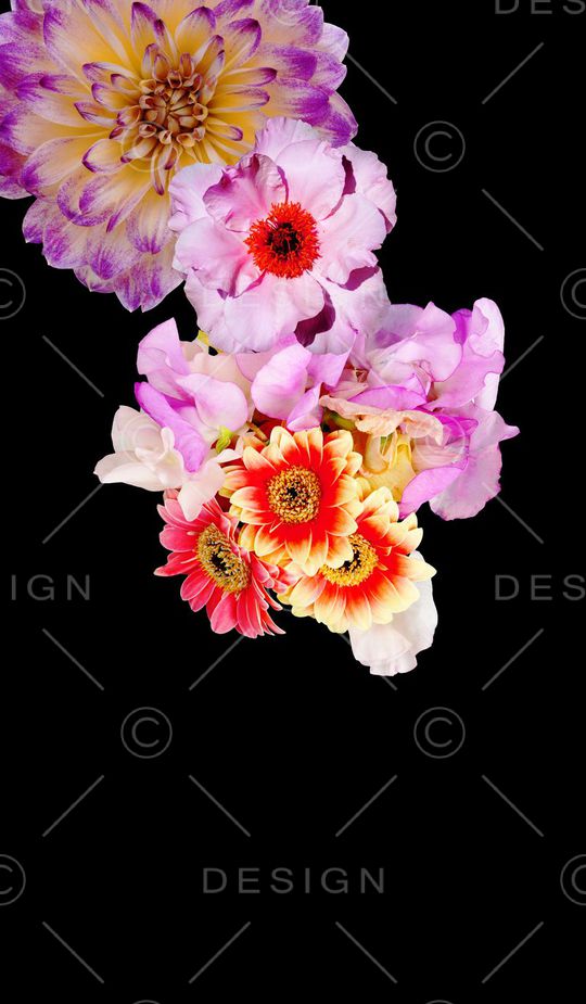 真花印花花型图片