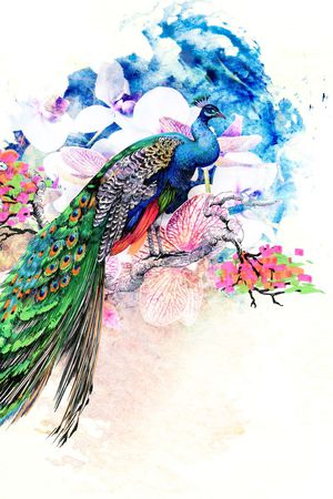 孔雀印花花型图片