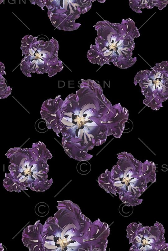 手绘印花花型图片