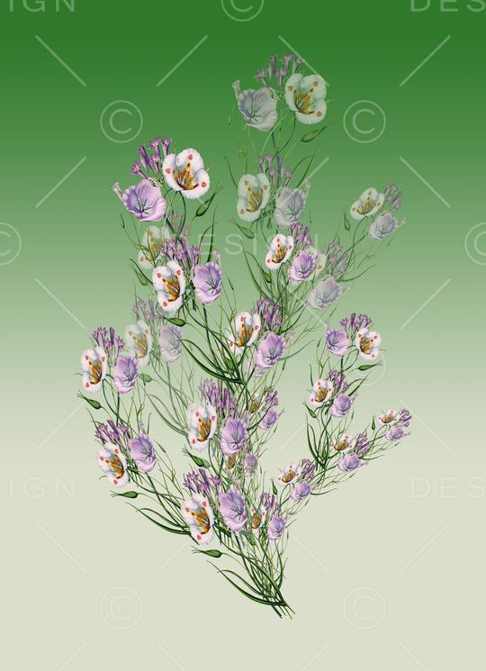 定位花卉印花花型图片