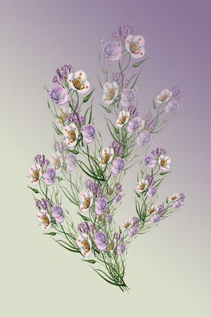 定位花卉印花花型图片