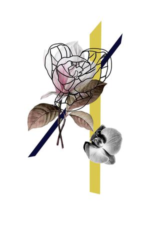 优雅印花花型图片