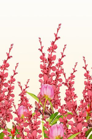 花朵印花花型图片