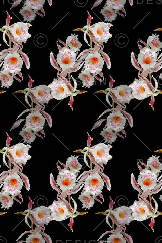 植物花卉印花花型图片