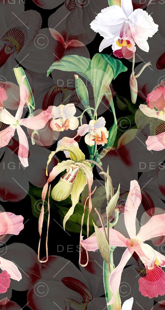 花卉印花花型图片