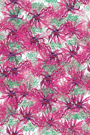雏菊印花花型图片