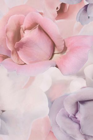 花卉印花花型图片