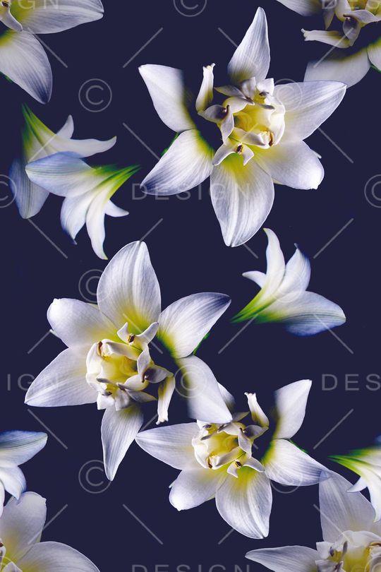 写真印花花型图片