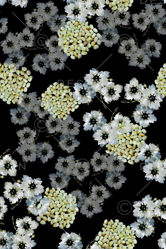 珠宝玉石图案印花花型图片