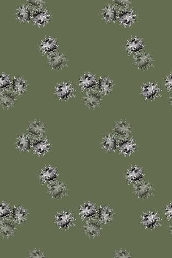 699260-160828-nzhh-1-2
