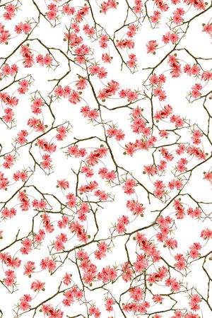 流行时尚印花花型图片