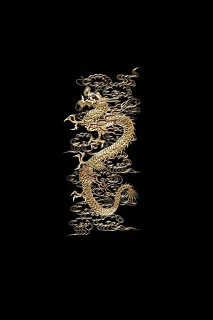 龙纹中国风印花印花花型图片