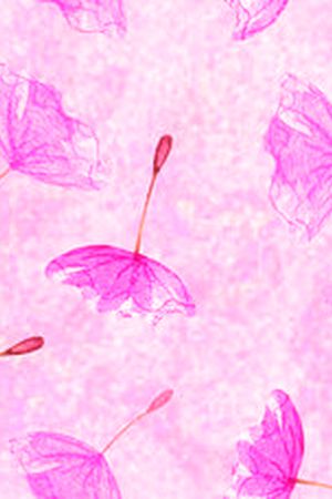 小花印花花型图片