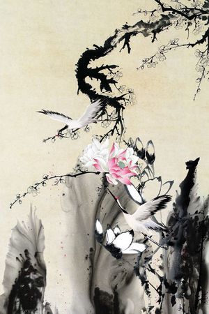 荷花印花花型图片