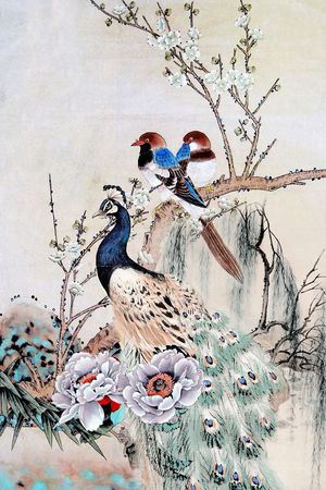 孔雀印花花型图片