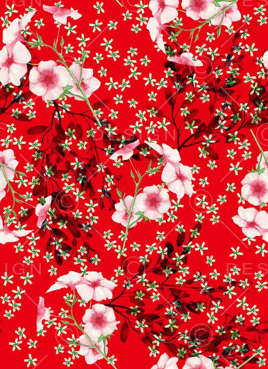 老年印花花型图片