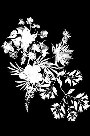 黑白印花花型图片