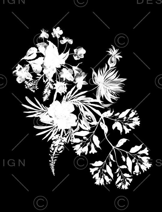黑白印花花型图片
