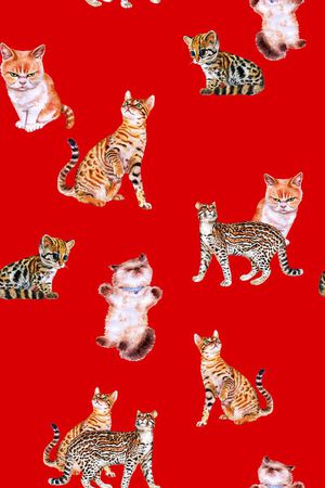 猫印花花型图片