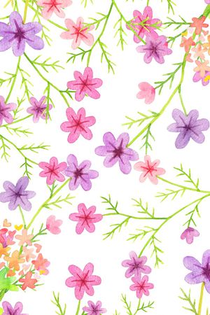 花朵印花花型图片