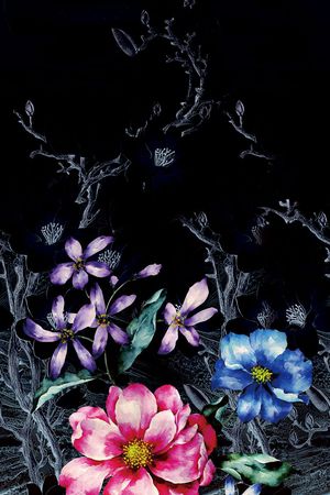 A.I.F时尚女装定位印花花型图片