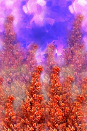 A.I.F时尚女装定位印花花型图片