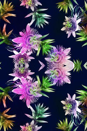 时尚印花花型图片