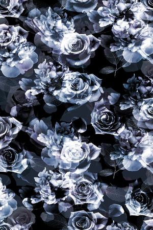 杜嘉班纳Dolce&Gabbana印花花型图片