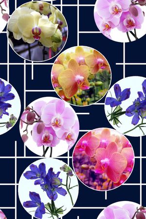 花卉印花花型图片