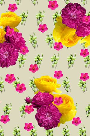 colorise印花花型图片