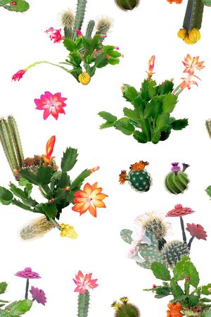花卉印花花型图片