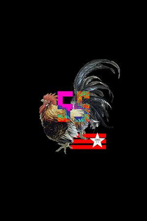 个性印花花型图片