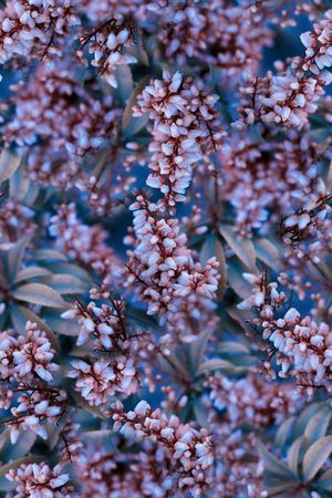 抽象3D植物花卉小碎花数码印花印花花型图片